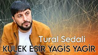 Tural Sedali  Kulek Esir Yagis Yagir  Official Music [upl. by Burta378]