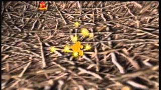 025 BanjoTooie 100 Walkthrough  Leftovers [upl. by Mauretta513]