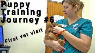 First Vet Visit With a Puppy A Positive Start 6 [upl. by Tucker419]