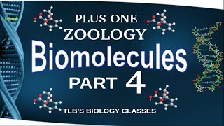 BiomoleculesPart 4Nucleic acidsClass 11ZoologyKerala Higher SecondaryBiju TL [upl. by Annabela972]