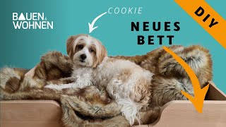 DIY Hundebett aus Holz leicht selbst gebaut [upl. by Donnamarie]