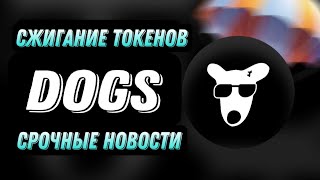 DOGS СРОЧНЫЕ НОВОСТИ  СЖИГАНИЕ ТОКЕНОВ DOGS [upl. by Ambrosi]