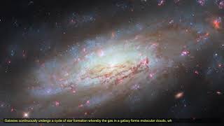 NASA Hubble Space Telescope Capture Galaxy NGC 4951 hubbletelescope [upl. by Okajima3]