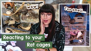 Reacting to your Rat cage setups  pt5 [upl. by Hselin22]