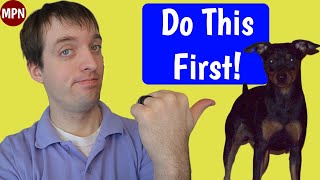 The 3 Min Pin Puppy Training Tips You Must Do First [upl. by Airdnekal359]