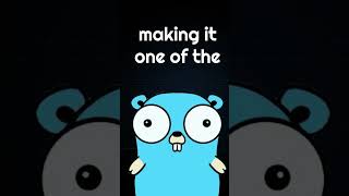 Golang Facts 04 Minimalistic Language 📝 shorts free google golang golangtutorial memes [upl. by Raddi]