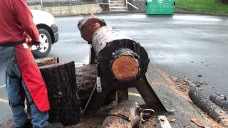 The chainsaw guy log testing Stihl 036 Pro 4 7 [upl. by Netsirhc]