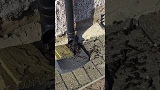 How to Unblock a Gutter Downpipe Remove Soil amp Plant Debris Fastquot [upl. by Niltiak]