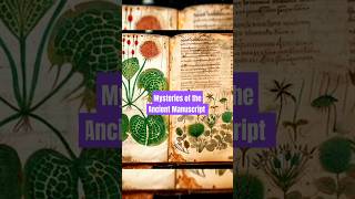 The Unsolvable Mystery of the Voynich Manuscript [upl. by Lilllie]