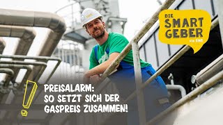 Wie setzt sich der Gaspreis eigentlich zusammen SMARTGEBER Paul klärt auf [upl. by Lavella]