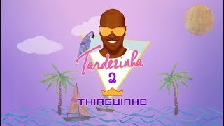 Thiaguinho  Pé Na Areia Álbum Tardezinha 2 Áudio Oficial [upl. by Eliason]