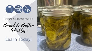 Amazing How To Can Bread amp Butter Pickles [upl. by Ayiotal]