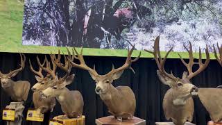 Best of the Western Hunting Expo [upl. by Bostow482]