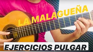 LA MALAGUEÑA El dedo PULGAR 👍 Tocar la guitarra para principiantes 🎼 [upl. by Chappy]