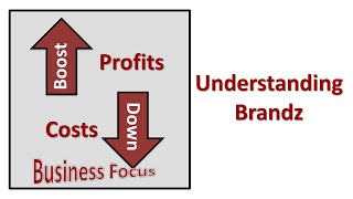 Understanding Brandz [upl. by Sitarski]