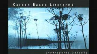 Carbon Based Lifeforms MOS 6581 [upl. by Silisav537]