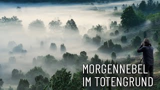 Morgennebel im Totengrund ● Fotografieren in der Heide [upl. by Elizabeth]