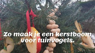 Vlog N° 63 Kerstboom voor de tuinvogels [upl. by Tiana754]