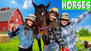 Horses for Kids w The Wild Adventure Girls All About Horses for Kids [upl. by Maritsa]