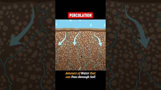 PERCOLATION percolation  WHAT IS PERCOLATION shortsviraltrending [upl. by Ecnaled669]