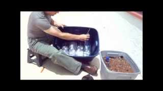 How to make a selfwatering container for planting your own garden with limited space Sun required [upl. by Aicilyt]