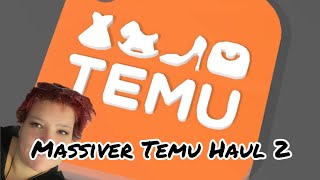 Massiver Temu Haul Teil 2 [upl. by Dlawso]