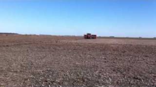 Argentina wheat drilling [upl. by Palma]