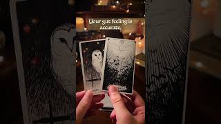 Advice You Need Right Now  tarot tarotreading tarotguidance [upl. by Angi295]