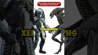 Why Predators Would Never Hunt Xenomorphs On Their Home Planet Shorts Viral [upl. by Affer]