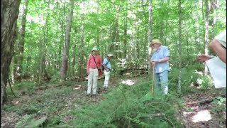 Hike to the Black Farmhands Burial Ground  Owego NY  71324 [upl. by Iemaj]