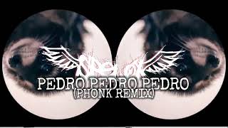 PEDRO PEDRO PEDRO Phonk Remix [upl. by Ahsille174]