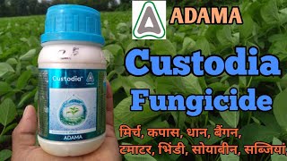 Custodia fungicide  adama  azoxystrobin 11  tebuconazole 183ww Sc [upl. by Levenson680]