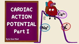 Heart Muscle myocardium Action Potential  Cardiology [upl. by Odrautse]