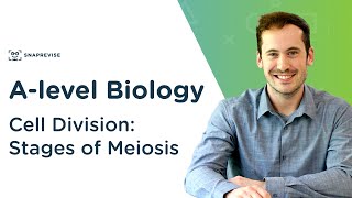 Cell Division Stages of Meiosis  Alevel Biology  OCR AQA Edexcel [upl. by Notlil168]