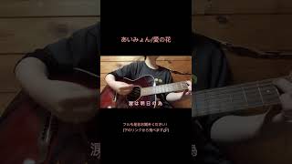 あいみょんの愛の花弾き語りで歌ってみました🌷cover 弾き語り 歌ってみた あいみょん 愛の花 [upl. by Franck564]