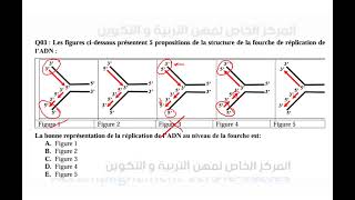 correction concours blanc Podcast [upl. by Katonah327]