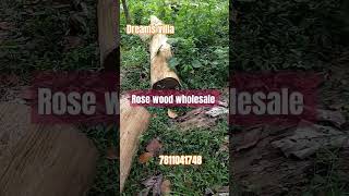 rosewood teakwood eatimaram carpentry wood rosewoodlogs teakfurniture woodwork teakfactory [upl. by Alyam281]