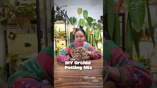 Simple DIY Orchid Potting Mix orchidworld orchid orchidcare plants [upl. by Yoo]