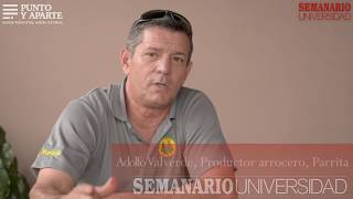 El agricultor un oficio sin herederos Entrevista Adolfo Valverde [upl. by Lourie]