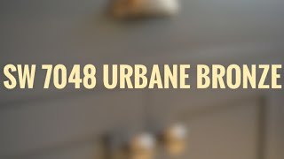 Urbane Bronze Sherwin Williams  COLOR OF THE YEAR 2021 [upl. by Zetram]