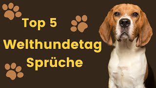 Welthundetag Sprüche Die 5 besten Zitate zum Feiern unserer Hunde [upl. by Eiger304]