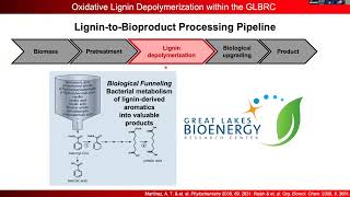 Early Career Researcher symposium on Lignins with Shannon S Stahl [upl. by Yrrej132]