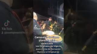 Con Los Originales del Vigia Venezuela la pura crema 🎹🎸🇻🇪 [upl. by Vanden]