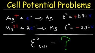 Cell Potential Problems  Electrochemistry [upl. by Rafa]