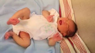 Newborn Baby Kicking and Crying [upl. by Stahl665]