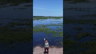 Brazilian Pantanal MT ASMR [upl. by Gasper]