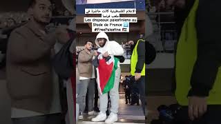 Les drapeaux palestiniens au StadedeFrance FreePalestine متداول الجزائر [upl. by Eibur]