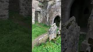 Ireland 🇮🇪 🍀 exploring Kilcrea Friary CoCork defo worth a trip Cool history [upl. by Vilhelmina]