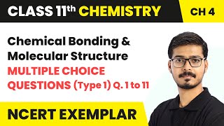 Chemical Bonding and Molecular Structure  MCQs Type 1  Que 1 to 11  Class 11 Chemistry Ch 4 [upl. by Mauricio44]