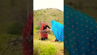 आदिवासीtsp aadivasiculture indigenousviral songtrendingaadivasi tsp aadivasiculture [upl. by Marilyn]